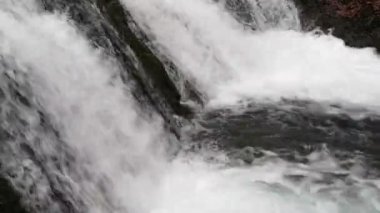 Bahar Dağı ormanında fırtınalı şelale