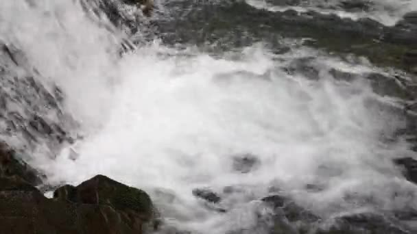 Stormigt Vattenfall Vårens Fjällskog — Stockvideo
