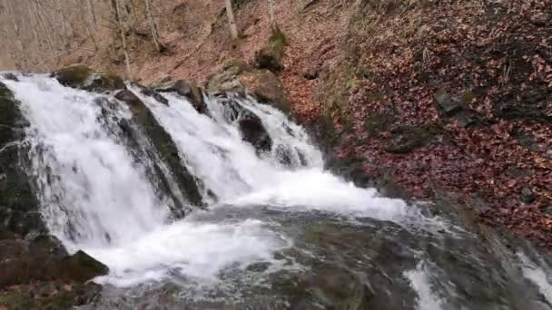 Burzliwy Wodospad Wiosennym Lesie Górskim — Wideo stockowe