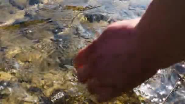 Ένας Άντρας Πλένει Χέρια Του Ένα Διάφανο Ποτάμι Του Βουνού — Αρχείο Βίντεο