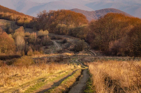 Панорама Весенних Карпатских Гор Закате — стоковое фото