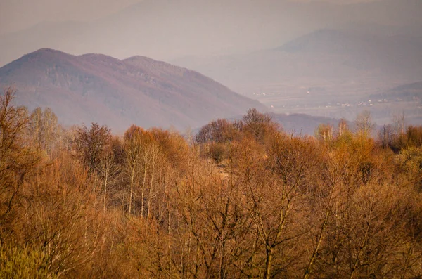 Panorama Wiosennych Karpat Zachodzie Słońca — Zdjęcie stockowe