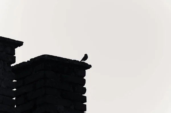 Ασπρόμαυρο Τοπίο Σπουργίτι Πόλης — Φωτογραφία Αρχείου