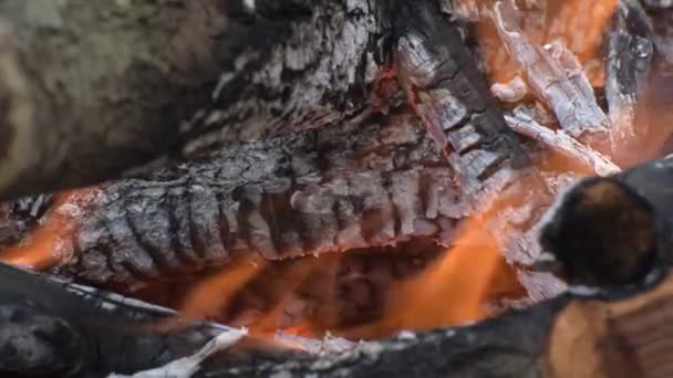 Campfire Sulla Riva Del Fiume Forte Vento — Video Stock
