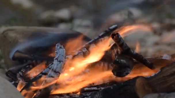 Táborák Břehu Řeky Silném Větru — Stock video