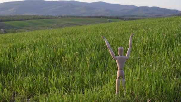 Petit Homme Articulé Tient Dans Champ Avec Une Culture Céréalière — Video