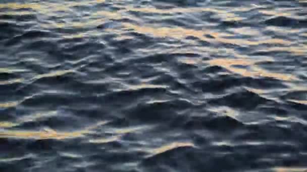 Texture Variée Des Vagues Avec Vents Forts Coucher Soleil — Video