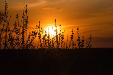 Bahar akşamında güzel, parlak gün batımı