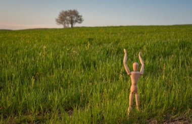 Eklemli küçük adam yükselen mısır gevreğiyle bir tarlada duruyor.