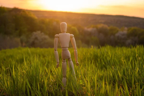 Articulated little man stands in a field with an ascending cereal crop