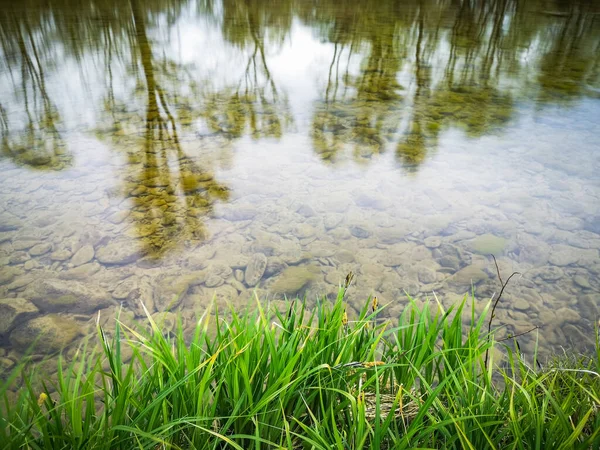 Transparentní Jarní Horská Řeka Večerních Hodinách — Stock fotografie