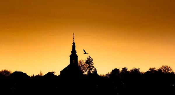 Schöne Landschaft Mit Reiher Und Kirche — Stockfoto