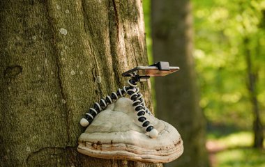 Büyük bir anlaşmanın küçük yardımcısı denilen manzara 