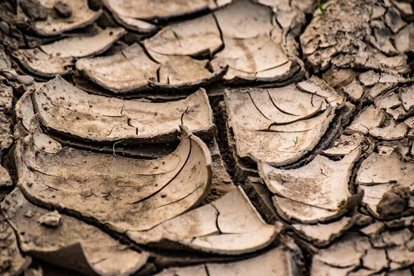 Paisagem Chamada Realidades Mudança Climática — Fotografia de Stock