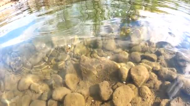 Pesca Cámara Lenta Río Montaña — Vídeo de stock