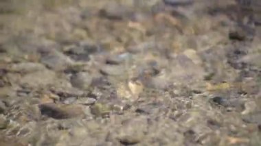 Gün batımında, dağ nehrinin çeşitli dalga dokuları