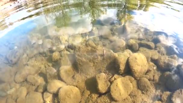 Dağ Nehrinde Yavaş Çekimde Balık Tutmak — Stok video