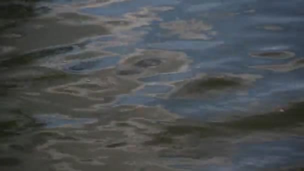 Zróżnicowana Faktura Fali Górskiej Rzeki Zachodzie Słońca — Wideo stockowe