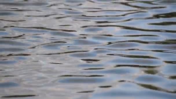 Variada Textura Ola Del Río Montaña Atardecer — Vídeos de Stock