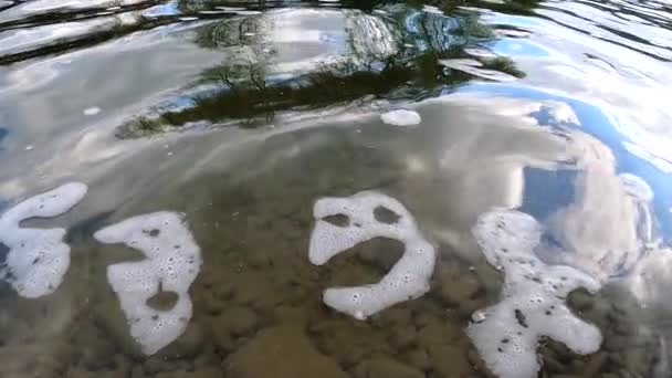 Pêche Ralenti Sur Une Rivière Montagne — Video