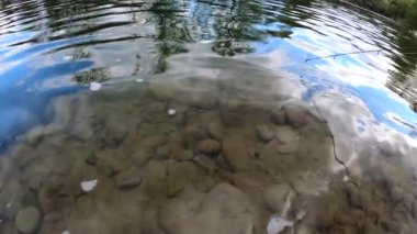 Dağ nehrinde yavaş çekimde balık tutmak