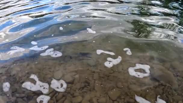 Zeitlupenfischen Auf Einem Gebirgsfluss — Stockvideo