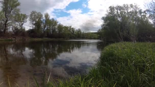 Ορεινός Ποταμός Ηλιόλουστη Μέρα Τοπίο — Αρχείο Βίντεο