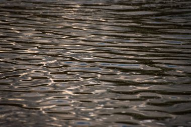 Gün batımında güçlü rüzgarlarla değişen dalga dokusu