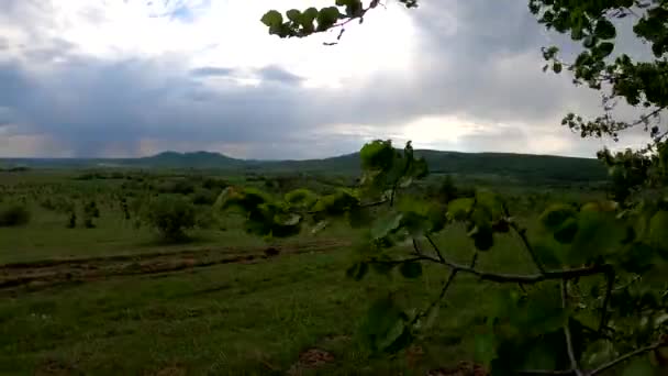Panorama Met Donderwolken Lentevlakte — Stockvideo