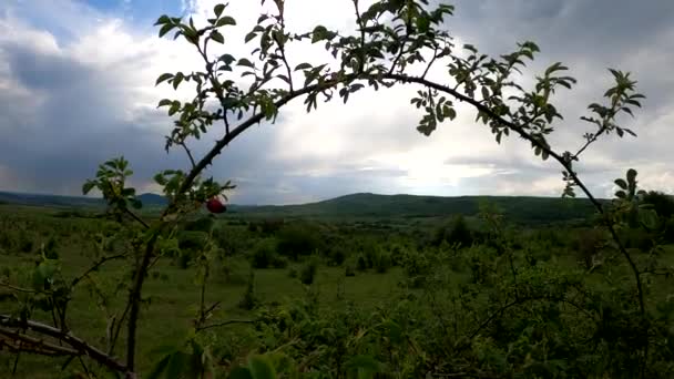 Panorama Con Nubi Tuono Sulla Pianura Primaverile — Video Stock