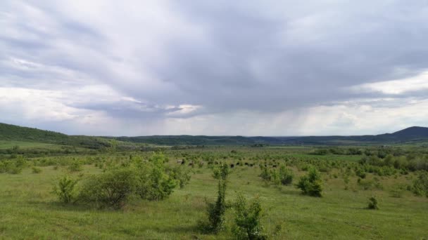 Panorama Met Donderwolken Lentevlakte — Stockvideo