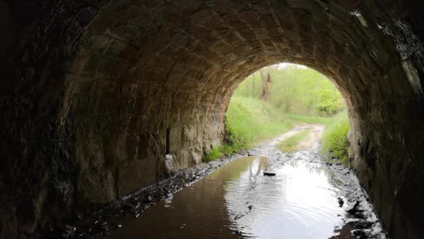 Eine Riesige Pfütze Einem Verlassenen Aquädukt — Stockvideo