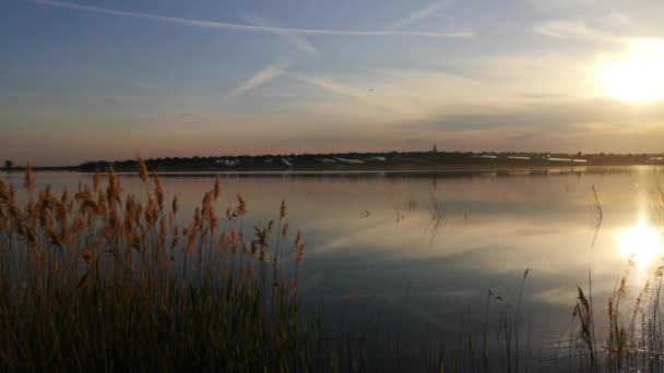 Hermosa Hora Dorada Lago — Vídeos de Stock