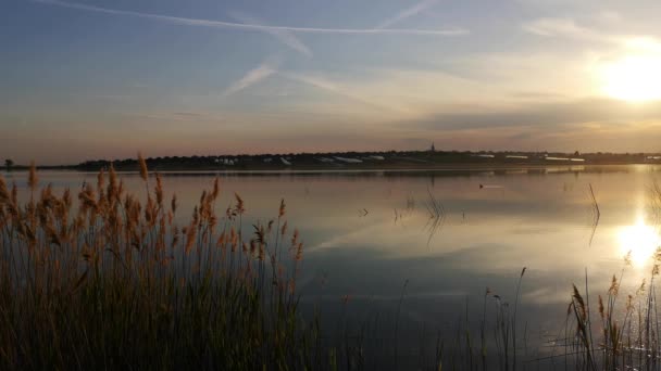 Prachtig Gouden Uur Aan Het Meer — Stockvideo