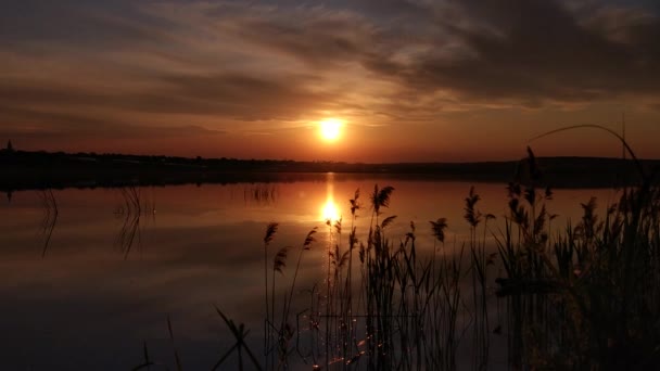 Прекрасный Золотой Час Озере — стоковое видео