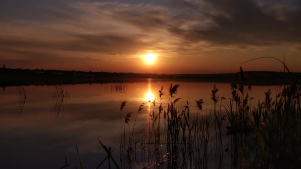 아름다운 황금빛 호수의 — 비디오