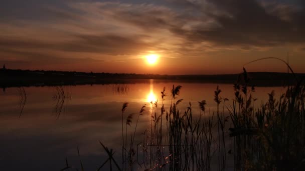 Beautiful Golden Hour Lake — Stock Video