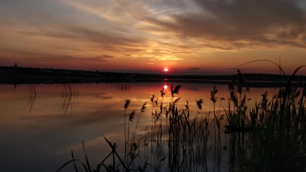 Prachtig Gouden Uur Aan Het Meer — Stockvideo