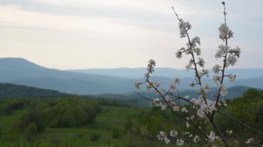 Karpatlar baharda