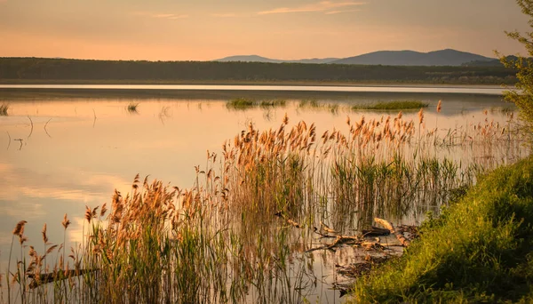 Прекрасный Золотой Час Озере — стоковое фото
