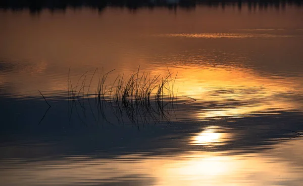 Belle Heure Dorée Sur Lac — Photo