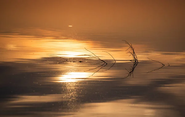 Beautiful Golden Hour Lake — Stock Photo, Image