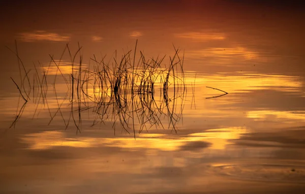 Piękna Złota Godzina Nad Jeziorem — Zdjęcie stockowe