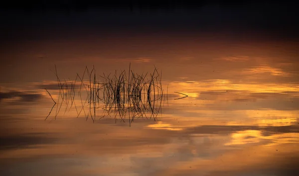Piękna Złota Godzina Nad Jeziorem — Zdjęcie stockowe