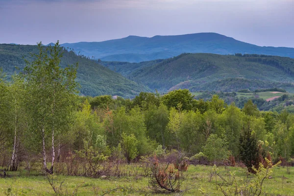 Frühling Den Karpaten — Stockfoto