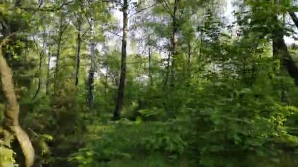 Paysages d'une boucherie dans les Carpates 