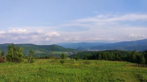 Spring Landscape Carpathian Mountains — Stock Video