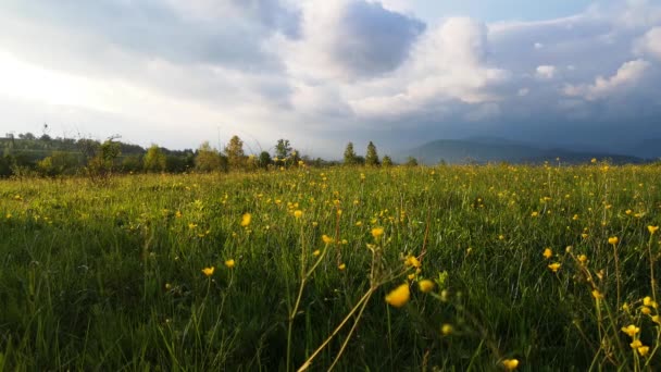 Paisagem Primavera Nas Montanhas Dos Cárpatos — Vídeo de Stock