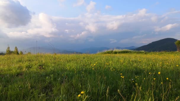 Paisagem Primavera Nas Montanhas Dos Cárpatos — Vídeo de Stock