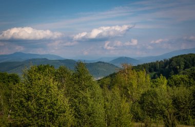 Karpat dağlarında ilkbahar manzarası